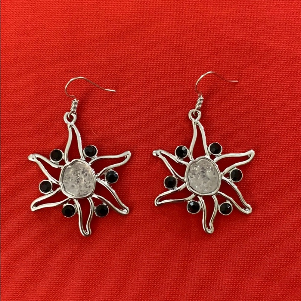 Stunning 6-point Earrings - NWOT